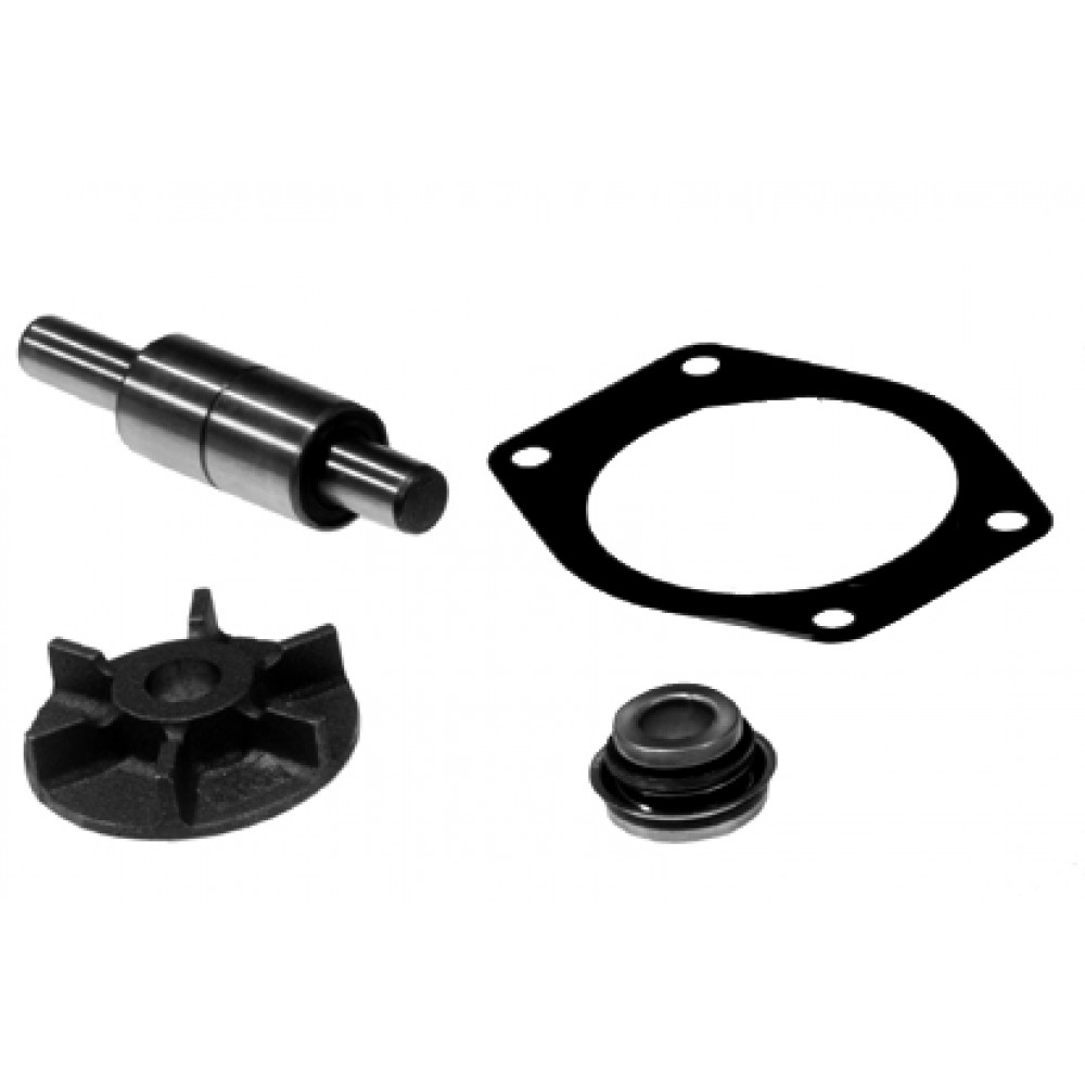 Water pump repair kit